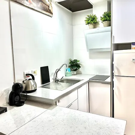 公寓 Travelingdays Gloria Ii 阿罗纳